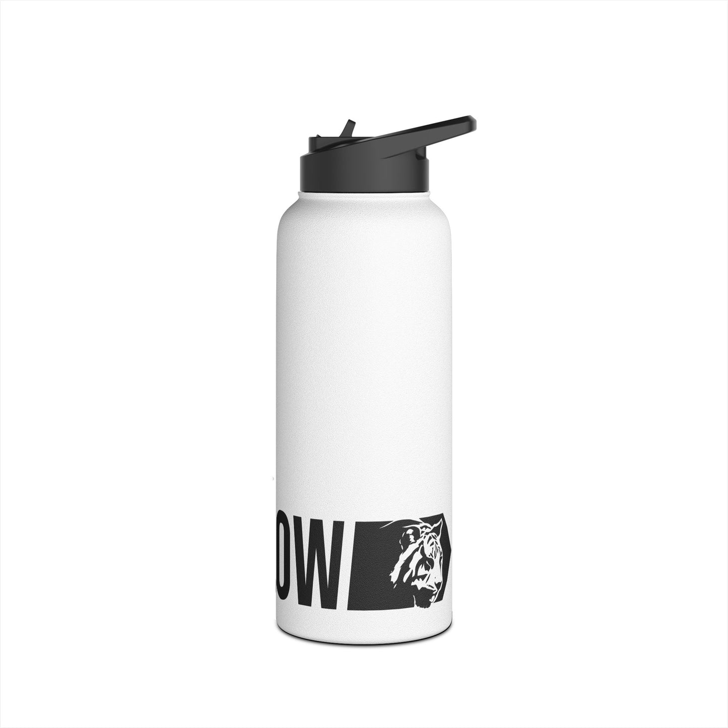 Stainless Steel Bottle