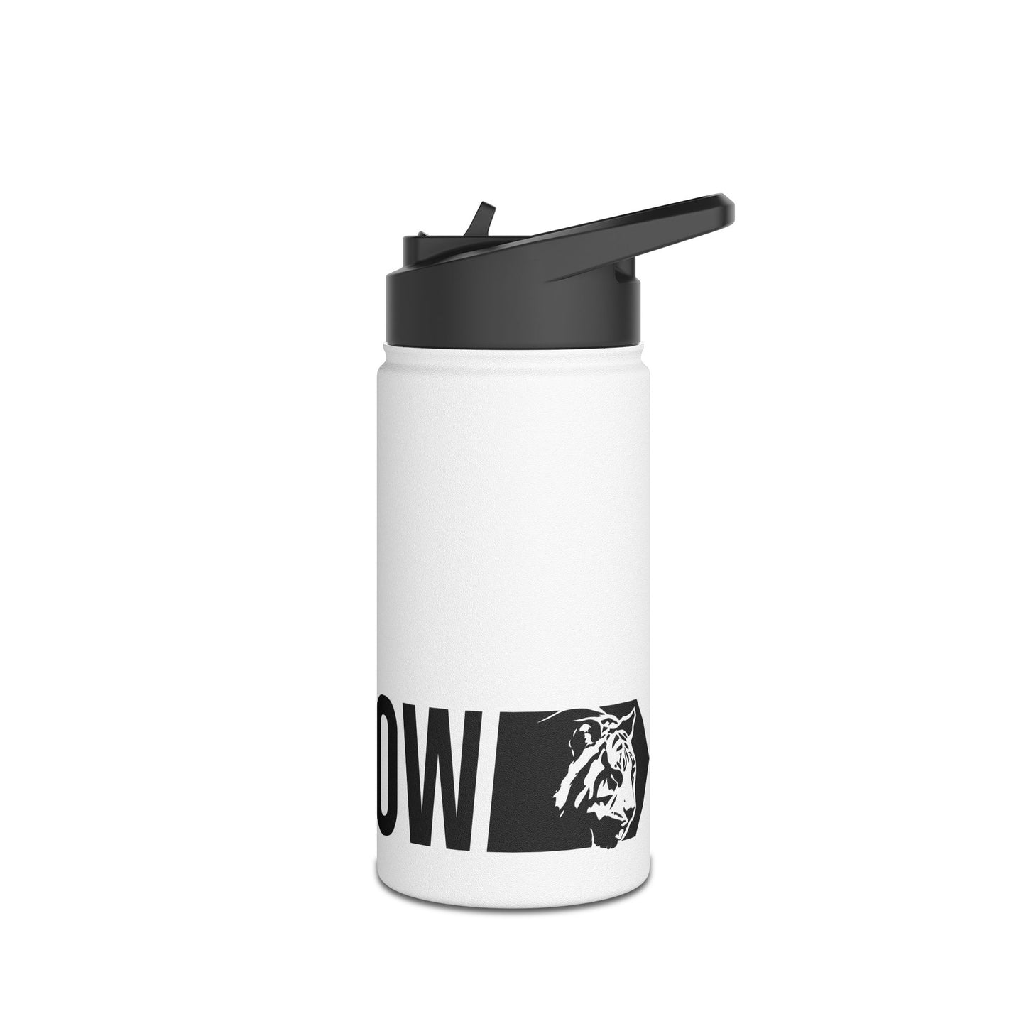 Stainless Steel Bottle